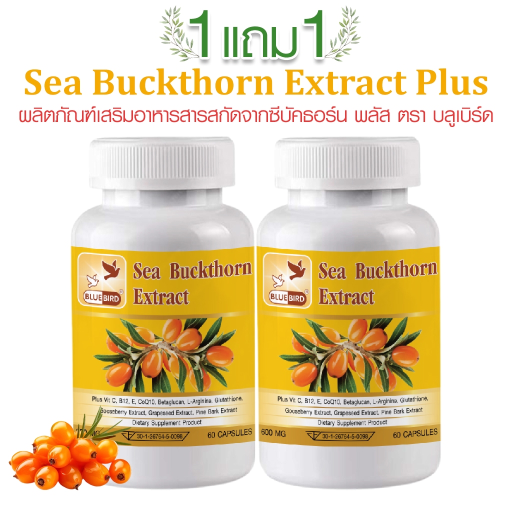 [1แถม1] Sea Buckthorn Extract Plus สารสกัดจากซีบัคธอร์น พลัส ตรา บลูเบิร์ด 600 มก. 60 แคปซูล