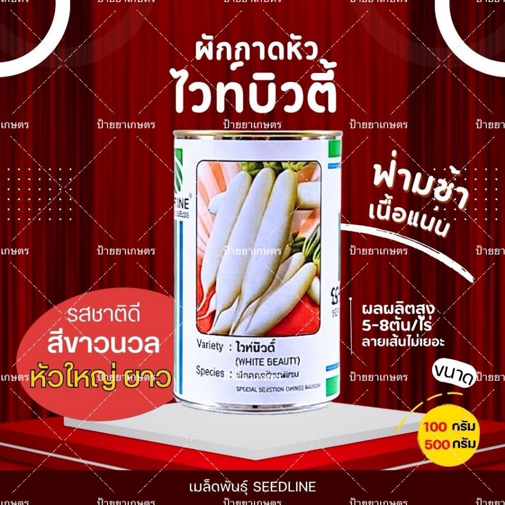 เมล็ดหัวไชเท้า ไวท์บิวตี้ (ขนาด100g) ผักกาดหัว  หัวใหญ่ เนื้อแน่น ฟ่ามช้า พันธุ์หนัก ตราซีดไลน์
