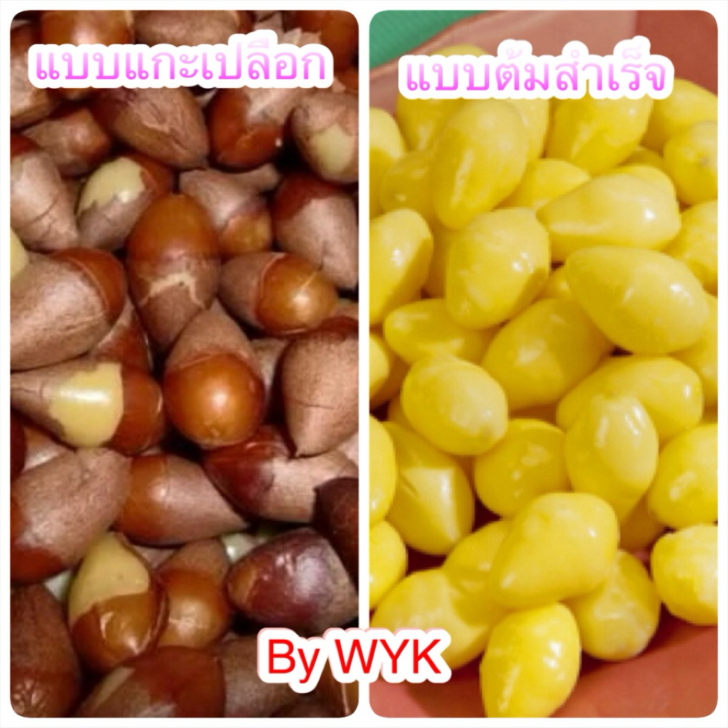 แปะก๊วย แบบต้ม หรือแบบ แกะเปลือก 1kg - W239