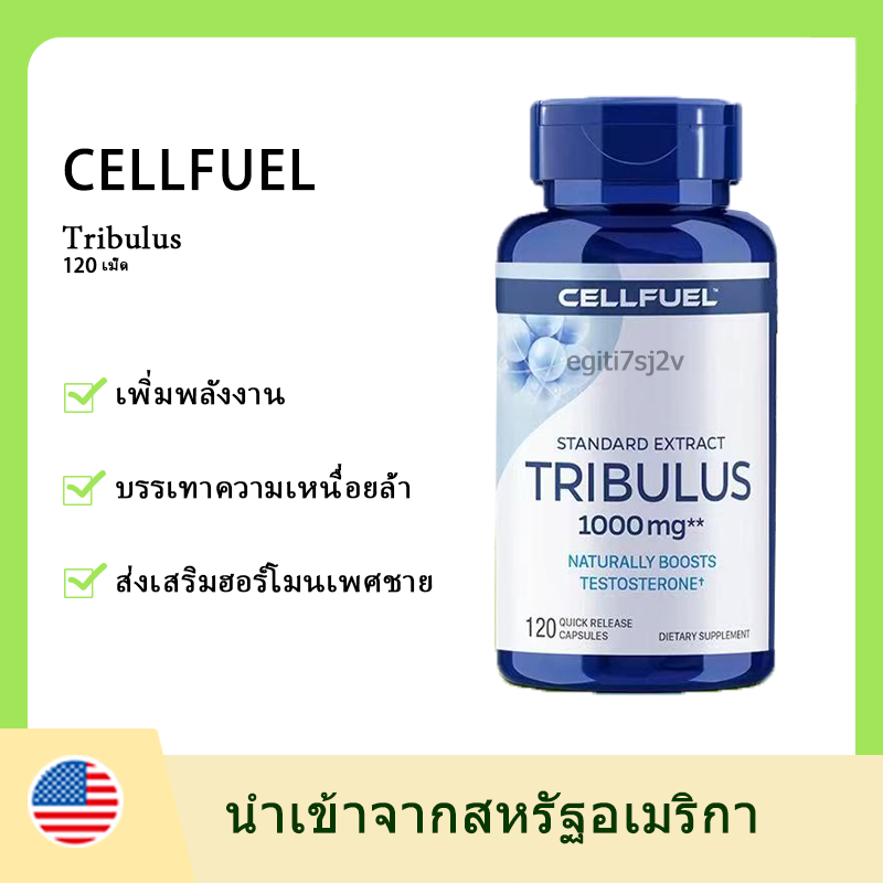 Exp：9/2027   CELLFUEL แคปซูลทริบูลัส ฮอร์โมนเพศชาย ไทรบูลัสธรรมชาติ 120 แคปซูล 1000mg zinc capsules