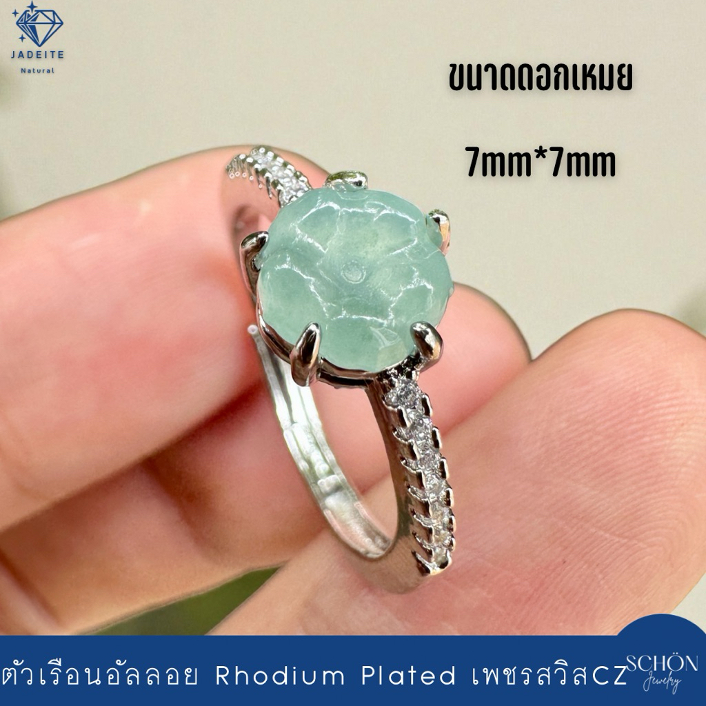 รูปภาพ 6