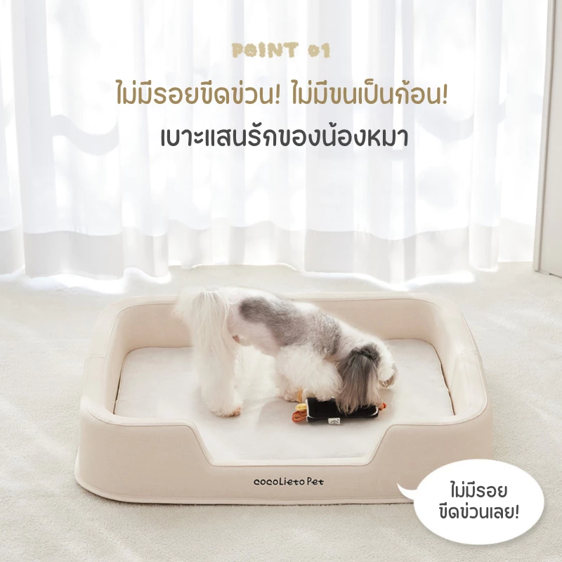 Cocopet เบาะนอนสัตว์เลี้ยง รุ่น Galaxy Premium Air Net (แถมหมอนในเซท) แบบกันน้ำ กันรอยขีดข่วน และไม่เป็นขุย