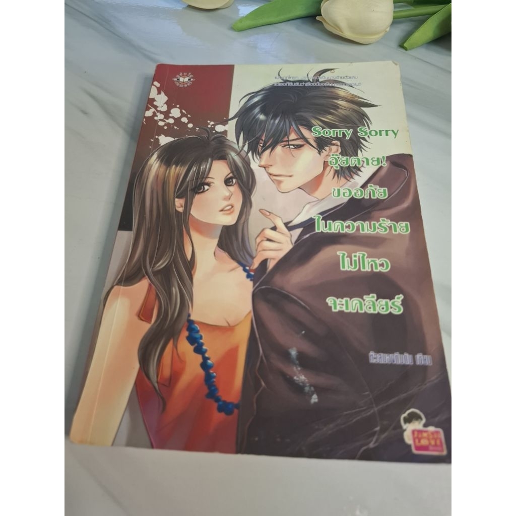 Sorry sorry อุ๊ยตาย!ขออภัยในความร้ายไม่ไหวจะเครียร์