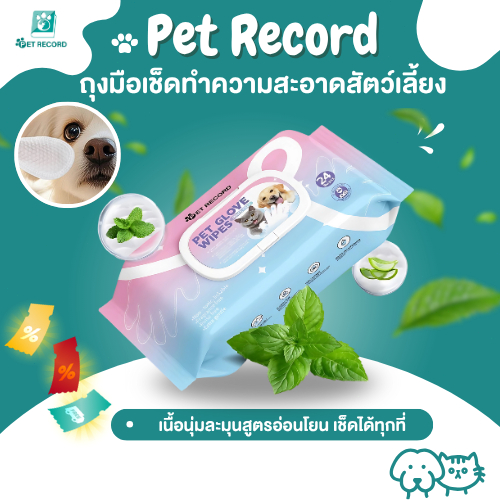 Pet Record ถุงมืออาบน้ำสัตว์เลี้ยง ไม่ระคายเคืองผิว บำรุงสำหรับสัตว์เลี้ยง 24 ชิ้น