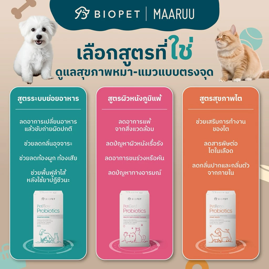 Biopet PetFlow Probiotics  สูตร Digestive ปรับสมดุลลำไส้ ลดท้องเสีย ลดกลิ่นอุจจาระ โพรไบโอติกส์สำหรับสัตวเลี้ยง หมา แมว thumbnail 10