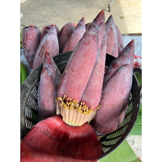 หัวปลี สด ปลอดสาร(Banana Blossom)(พร้อมส่ง )#ช่วยเพิ่ม น้ำนม เหมาะสำหรับ คุณแม่หลังคลอด # ลด น้ำตาลในเลือด # เพื่อสุขภาพ