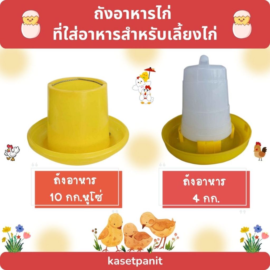ถังอาหารไก่ ที่ใส่อาหารสำหรับเลี้ยงไก่ ถังอาหาร 4 กก. และ ถังอาหาร 10 กก.หูโซ่