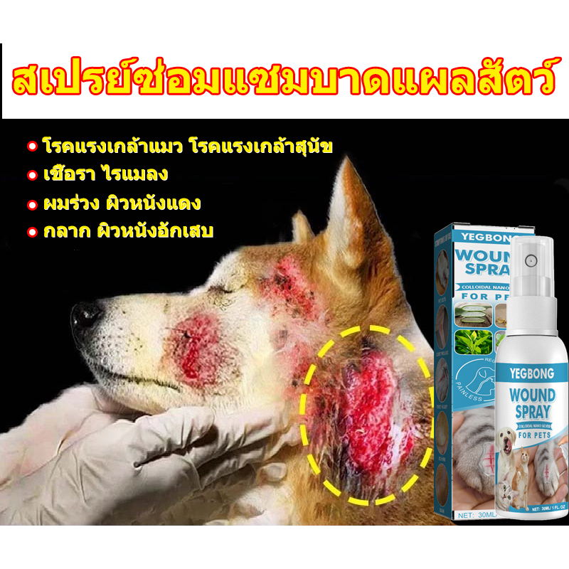 🐶สเปรย์ซ่อมแซมบาดแผลสัตว์เลี้ยง🐱 แผลแห้งไว สุนัข แมว แผลสด ลดอักเสบ ต้านเชื้อรา ดูแลขนสัตว์เลี้ยง ฟื้นบำรุงผิวหนัง