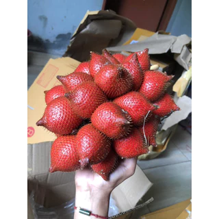 ระกำเปรี้ยว ขนาด1กิโล