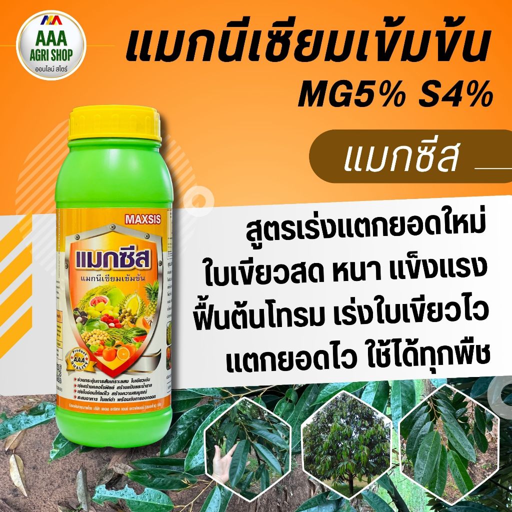 แมกซีส : แมกนีเซียมเข้มข้น + กำมะถัน เร่งใบแก่ ใบดำ สีผล สีเปลือกสวย