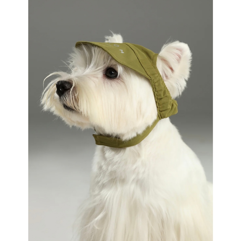 Tennis cap หมวกเทนนิสแคปของหมาแมว