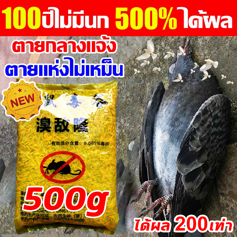 บอกลาขี้นกที่กวนใจ เหยื่อกำจัดนก นำเข้าจากเยอรมัน ตายแห้งไม่เหม็น ยาเบื่อนก เหยื่อกำจัดนกพิราบ ยากำจัดนกพิราบ ไล่นก