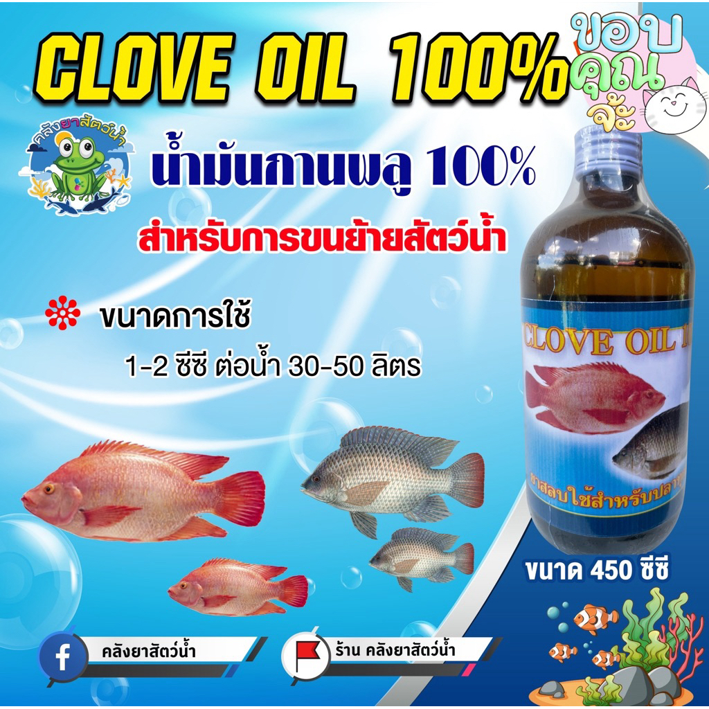 CLOVE OIL น้ำมันกานพลู100% สำกรับสัตว์น้ำเท่านั้น