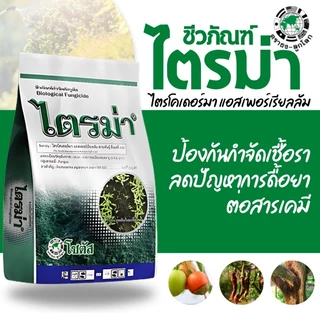 ไตรม่า 500 กรัม ไตรโคเดอร์มา แอสเพอร์เรียลลัม สายพันธุ์ ทีเอสที-032 สร้างสารเพื่อยับยั้งการเจริญของเชื้อราสาเหตุโรคพืช