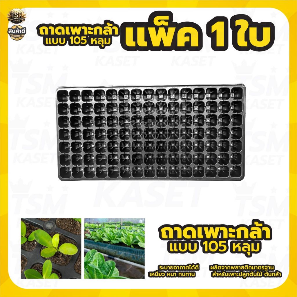 ถาดเพาะ ถาดเพาะกล้า เพาะต้นกล้า เพาะชำ ขนาด 105 หลุม และ 200หลุม เพาะพืชผักสวนครัวได้