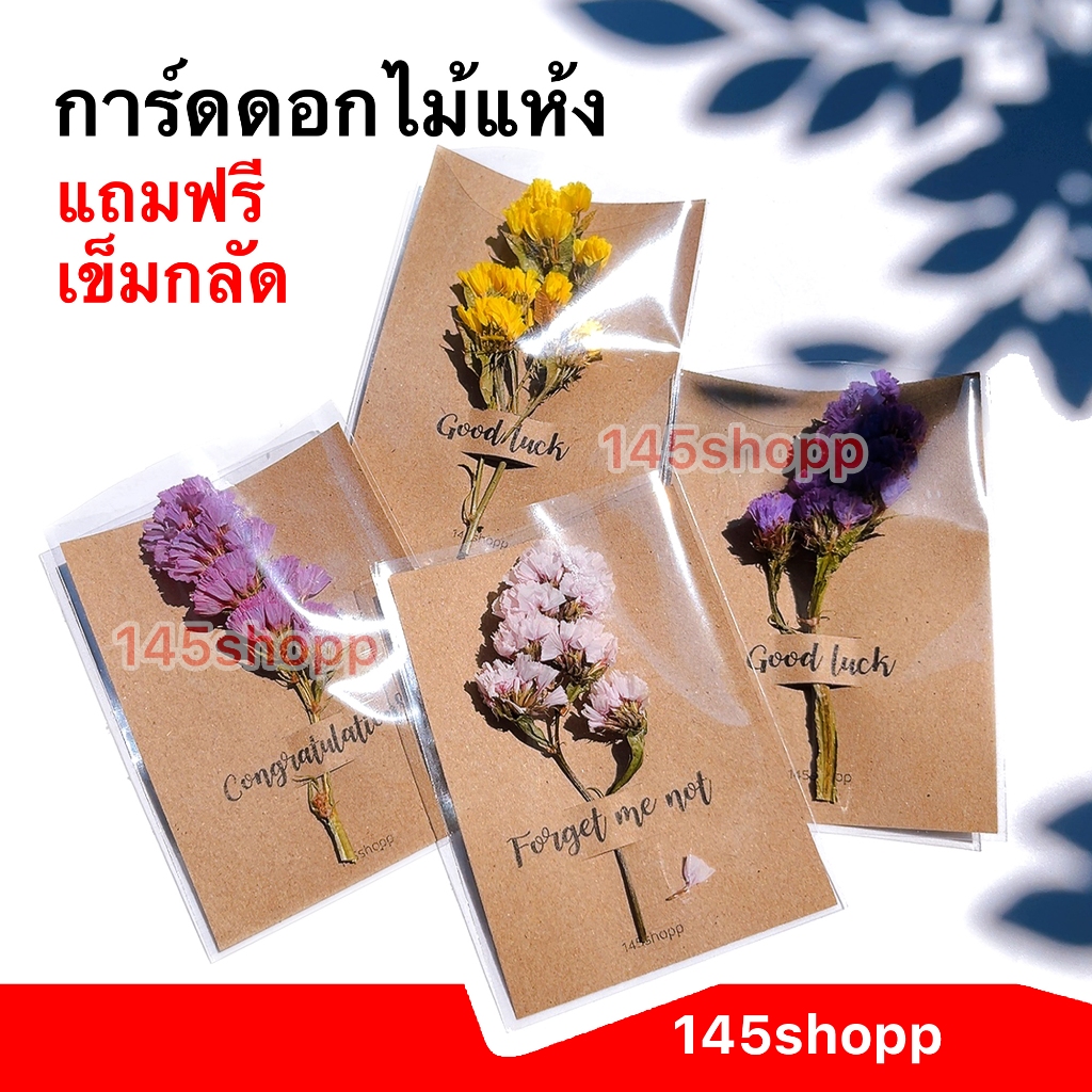 145shopp ✿ การ์ดดอกไม้แห้ง ดอกสแตติส แถมฟรี เข็มกลัด พร้อมซองใส (การ์ดน้ำตาล) การ์ดอวยพร ของขวัญ วันปัจฉิม วันเรียนจบ