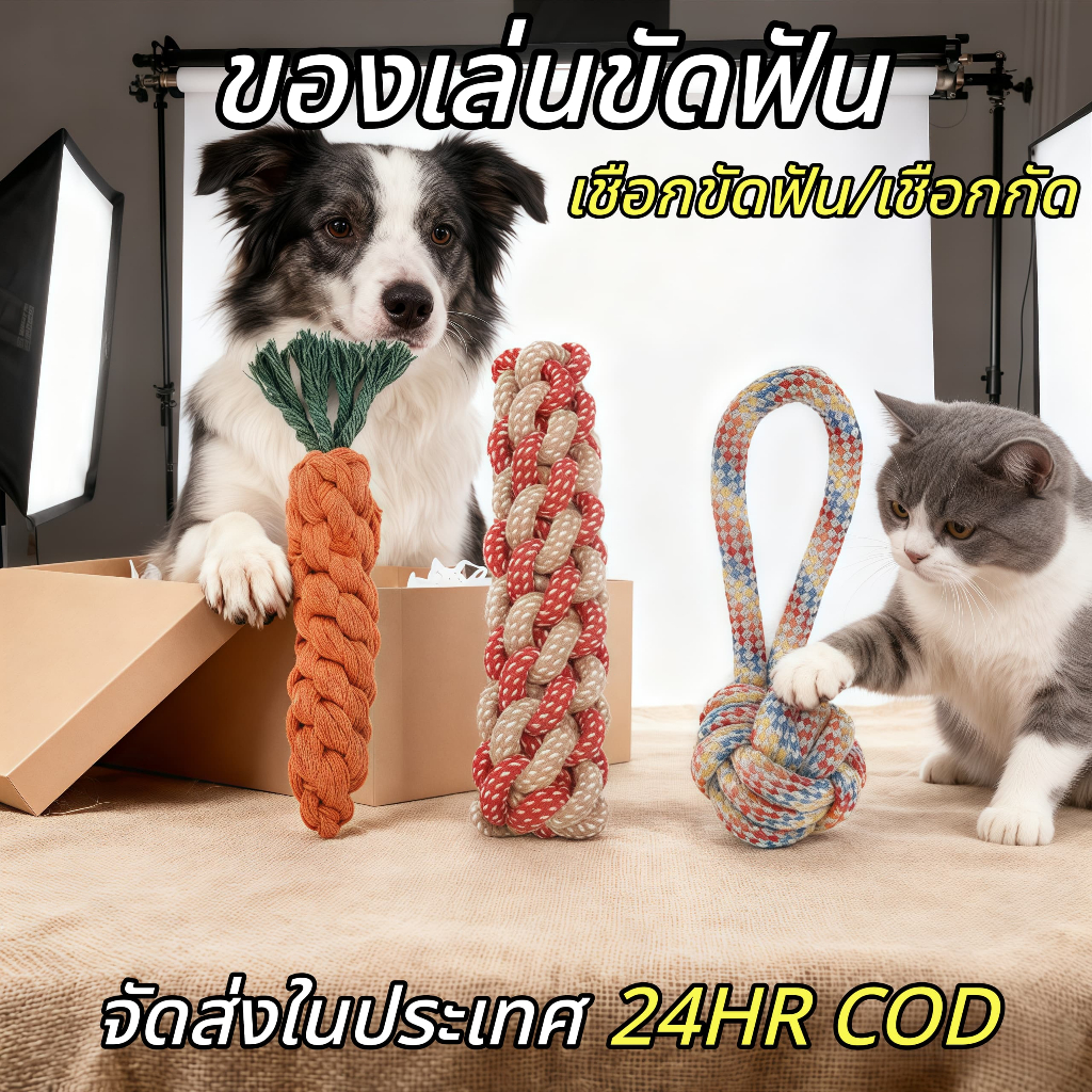 ของเล่นหมา ของเล่นแมว ของเล่นขัดฟัน ทนทานต่อการกัด ของเล่นแทะ หลายรูปทรง ช่วยทำความสะอาดฟัน สัตว์เลี้ยง CW-008