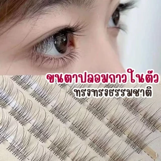 ขนตาปริมาณ 120 ดอก ไม่ต้องกาวติดเองใช้ง่ายเป็นธรรมชาติน่ารักแถมแหนบ