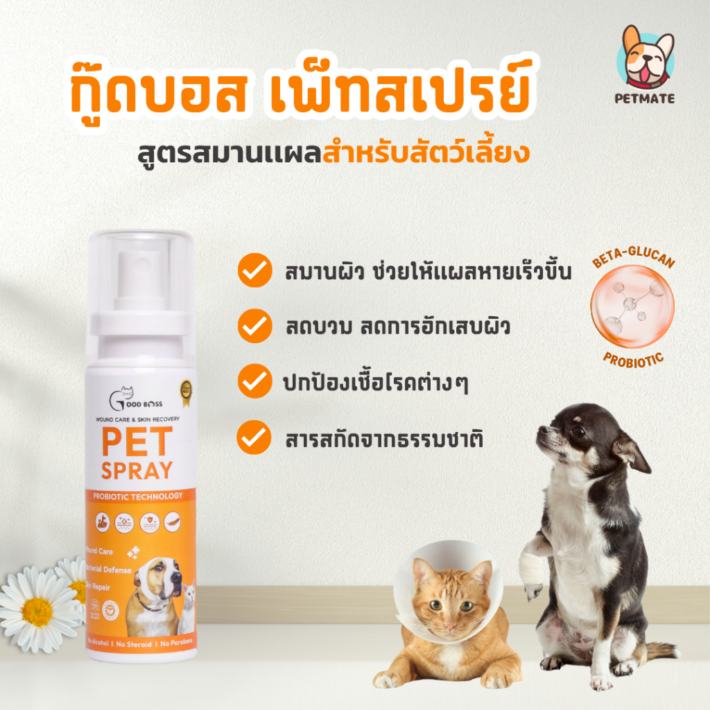 Goodboss Pet Spray สเปรย์สูตรสมานเเผล สำหรับสัตว์เลี้ยง เเผลสด อักเสบ เเผลหลังผ่าตัด สกัดจากธรรมชาติ