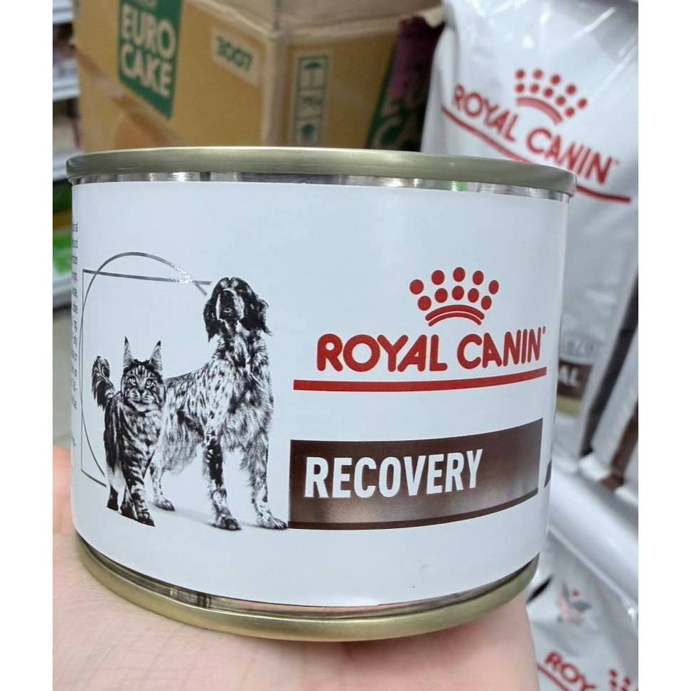 Royal Canin Recovery (27/09/27) อาหารฟื้นฟูสุขภาพสุนัข/แมว อาจมีรอยบุบจากขนส่ง รับได้ค่อยสั่งนะครับ