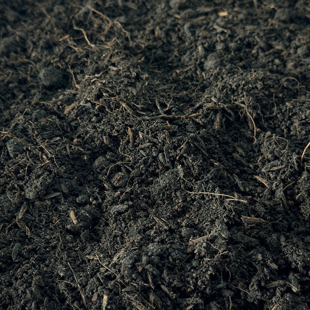 มุมมอง 3