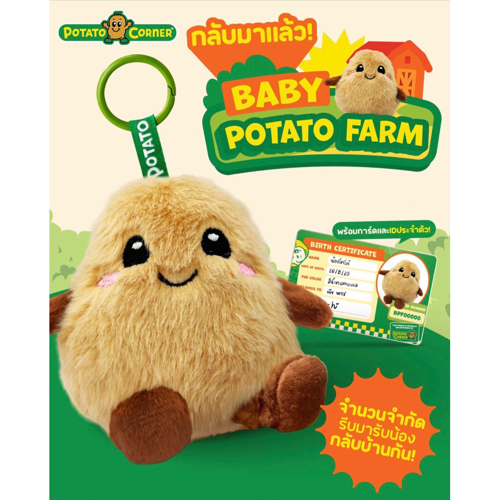 สินค้าพร้อมส่ง 🇹🇭 ส่งด่วนถึงภายในวัน 🛵💨 Potato Corner Limited Siam Paragon 🥔💛