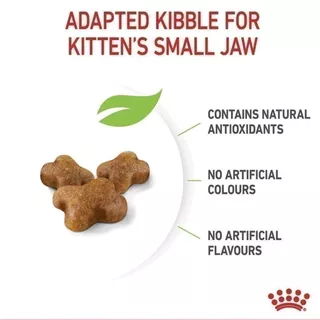 อาหารแมว แมวเด็ก Royal Canin Kitten รอยัลคานิล เหมาะสำหรับลูกแมว อายุ 4 - 12 เดือน ((แบบแบ่งขาย))