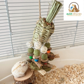 ของเล่นแทะ หนูแฮมสเตอร์ หัวไชเท้าฟาง หญ้าบอล