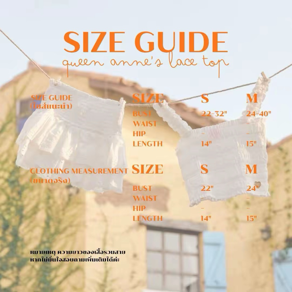 queen  anne ’s  lace - รูปที่ 6