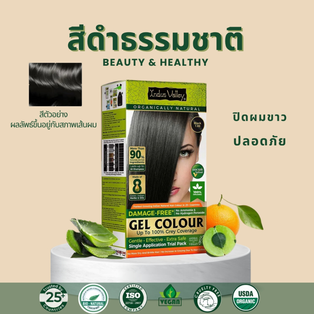 Indus Valley อินดัส แวลลี ผลิตภัณฑ์สมุนไพรปิดผมขาวออร์แกนิกจากประเทศอินเดีย Damage Free Gel Colour (220g / 65g)