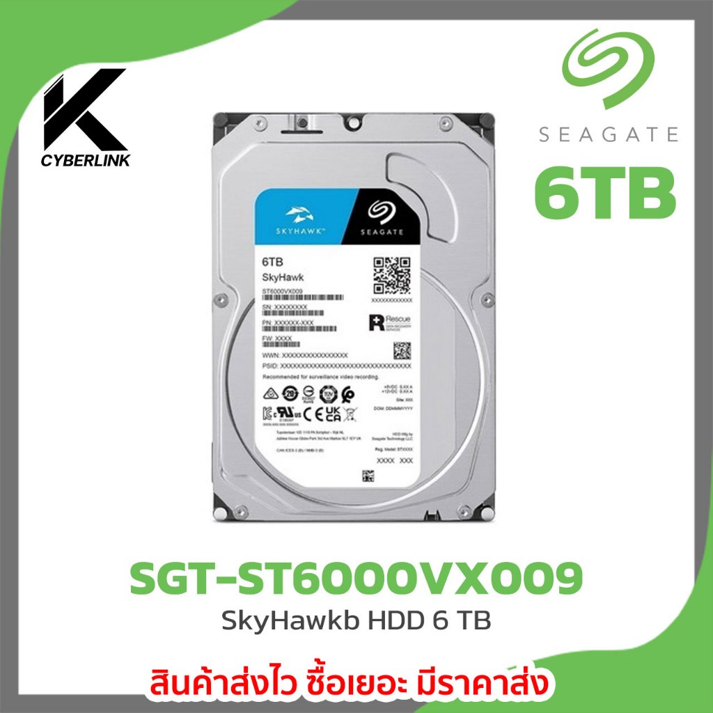Harddisk SkyHaawk รุ่น SGT-ST6000VX009 : SkyHawkb HDD 6 TB