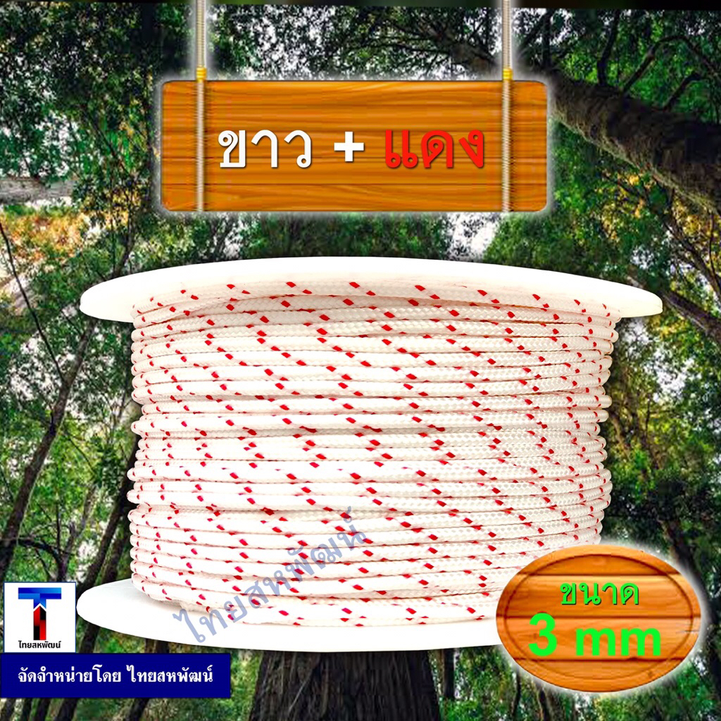 รูปภาพ 5