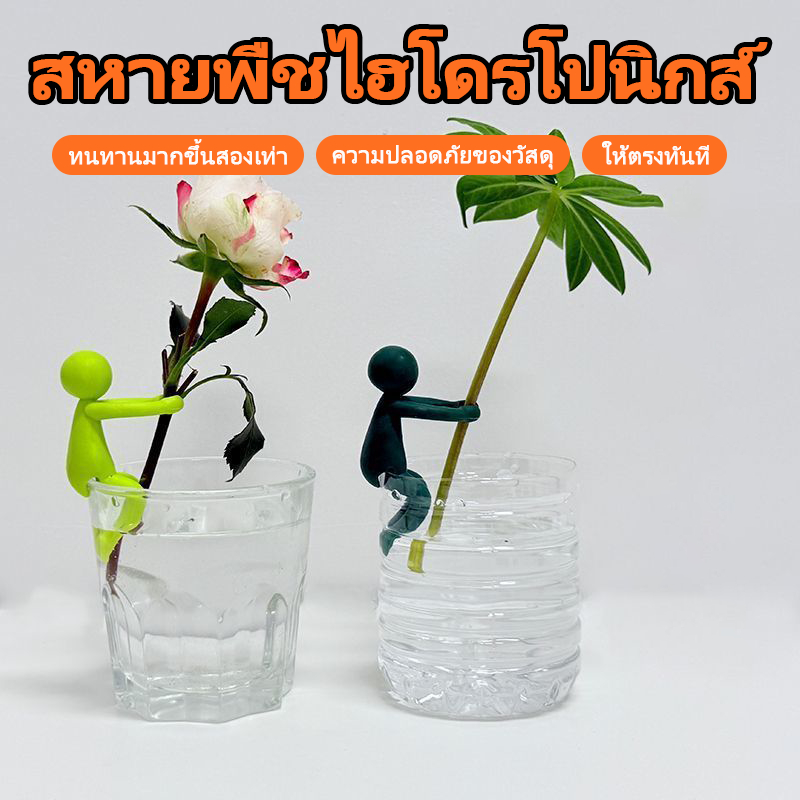 ภาชนะปลูกพืชแบบไฮโดรโปนิกส์แบบใหม่ ช่วยจัดกิ่งก้านให้ตรง คงรูปทรง และป้องกันใบไม่ให้ร่วงหล่น