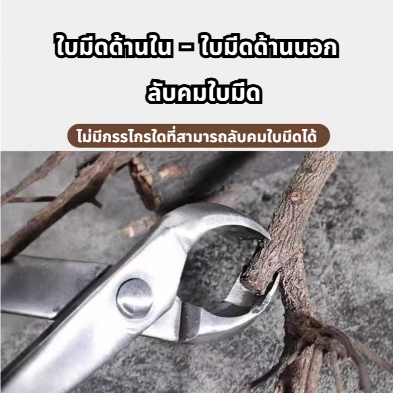 ยาว21และ29เซ็นติเมตร คีมปากนกแก้ว คีมท้องเรือ กรรไกรตัดแต่งกิ่งบอนไซ คีมตัดแต่งบอนไซ อุปกรณ์ตัดแต่งบอนไซ - รูปที่ 3