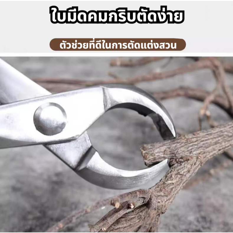 ยาว21และ29เซ็นติเมตร คีมปากนกแก้ว คีมท้องเรือ กรรไกรตัดแต่งกิ่งบอนไซ คีมตัดแต่งบอนไซ อุปกรณ์ตัดแต่งบอนไซ - รูปที่ 4