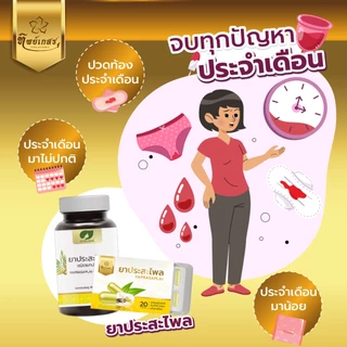 ทิพย์เกสร ประสะไพล แคปซูล สมุนไพรฟื้นฟูหลังคลอด ช่วยลดอาการปวดท้องประจำเดือน บำรุงเลือดผู้หญิง
