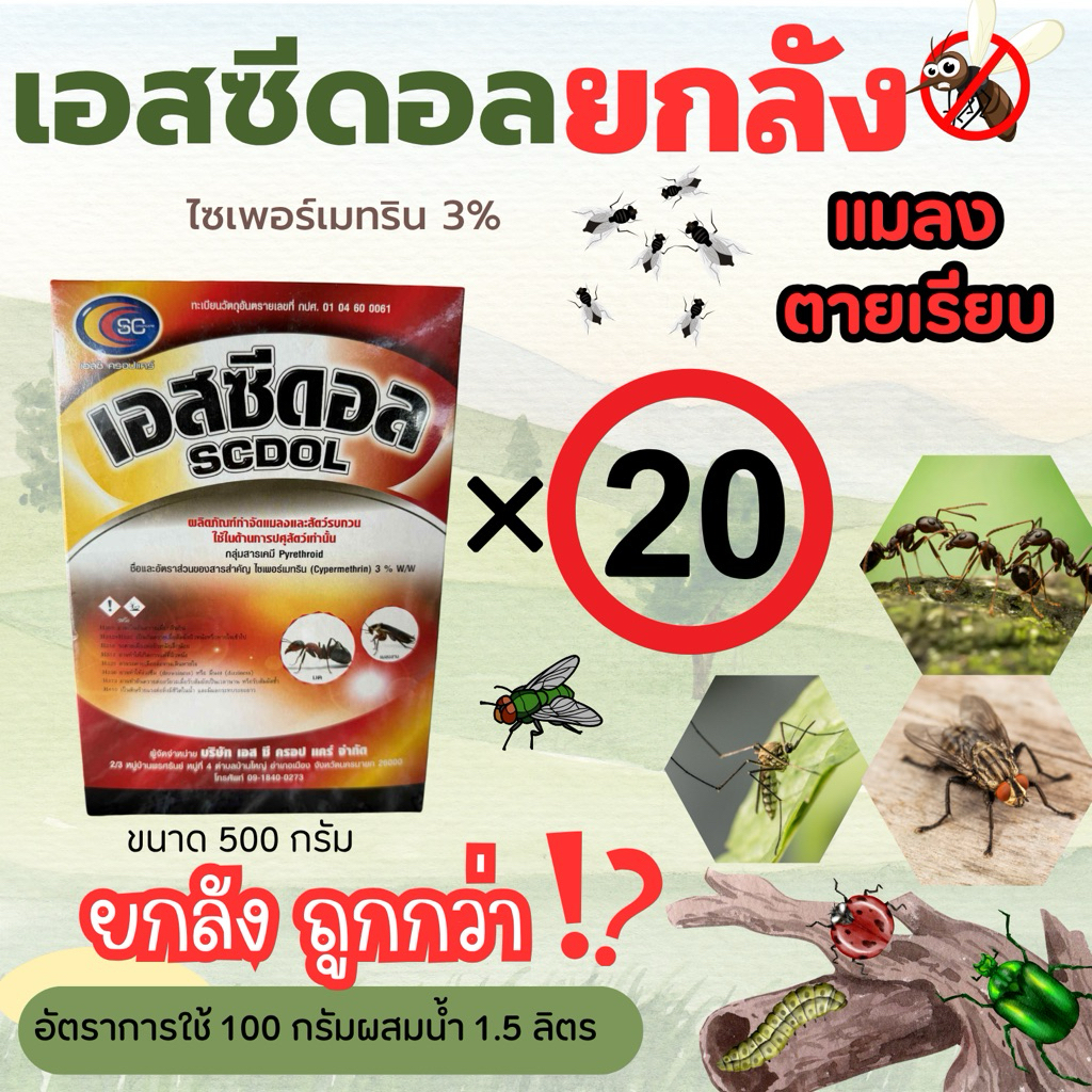 (รักษ์เกษตร)🦟 เอสซีดอล‼️ยกลัง‼️(ไซเปอร์เมทริน3%) 🦟กำจัด มด ยุง แมลงบิน ในฟาร์ม/โรงงาน 500กรัม🟢ยกลัง‼️