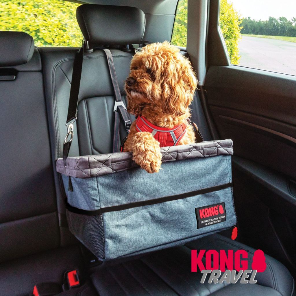 KONG Ultimate Booster Seat & Tether – เบาะนั่งสุนัขในรถพร้อมสายยึดนิรภัย