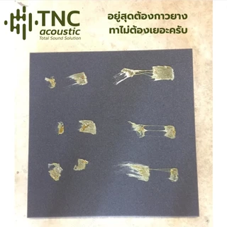 (ผลิตไทย) แผ่นซับเสียง **ไม่ลามไฟ ** ใหญ่ 125x200 ซม. หนา 1-2 นิ้ว (จาก TNC Acoustic)