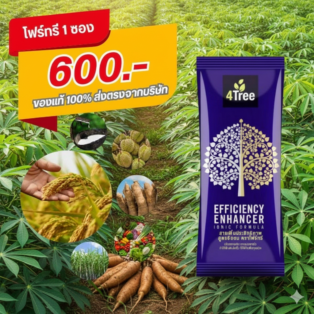 4Tree โฟร์ทรี สูตรเร่งเขียวดูดซึมไว เพิ่มพลังการเติบโตระดับสายพันธุ์แท้