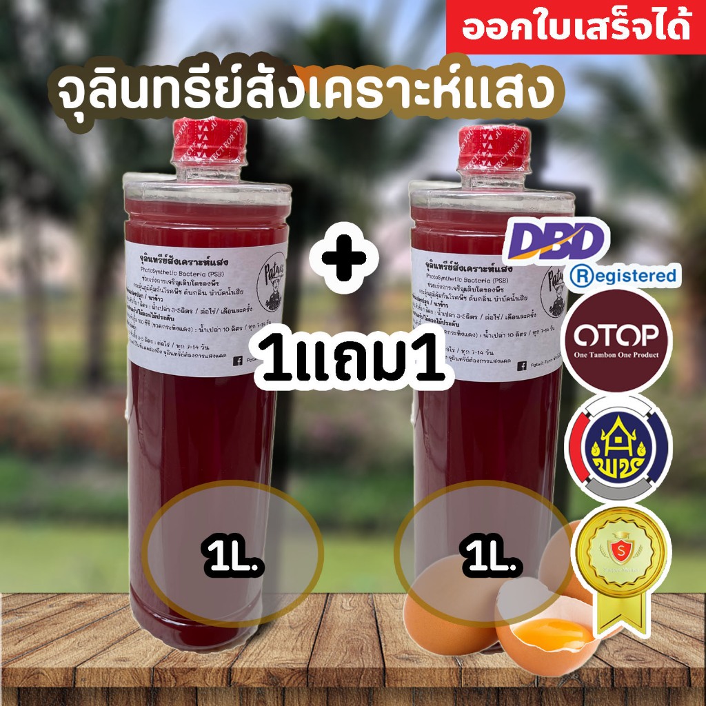 (1แถม1)(ใช้โค้ดส่งฟรี)จุลินทรีย์สังเคราะห์แสง PSB ขนาด1ลิตร 1แถม1 สูตรเข้มข้นสีแดงสด ใช้ขยายเชื้อต่อได้ไม่รู้จบ