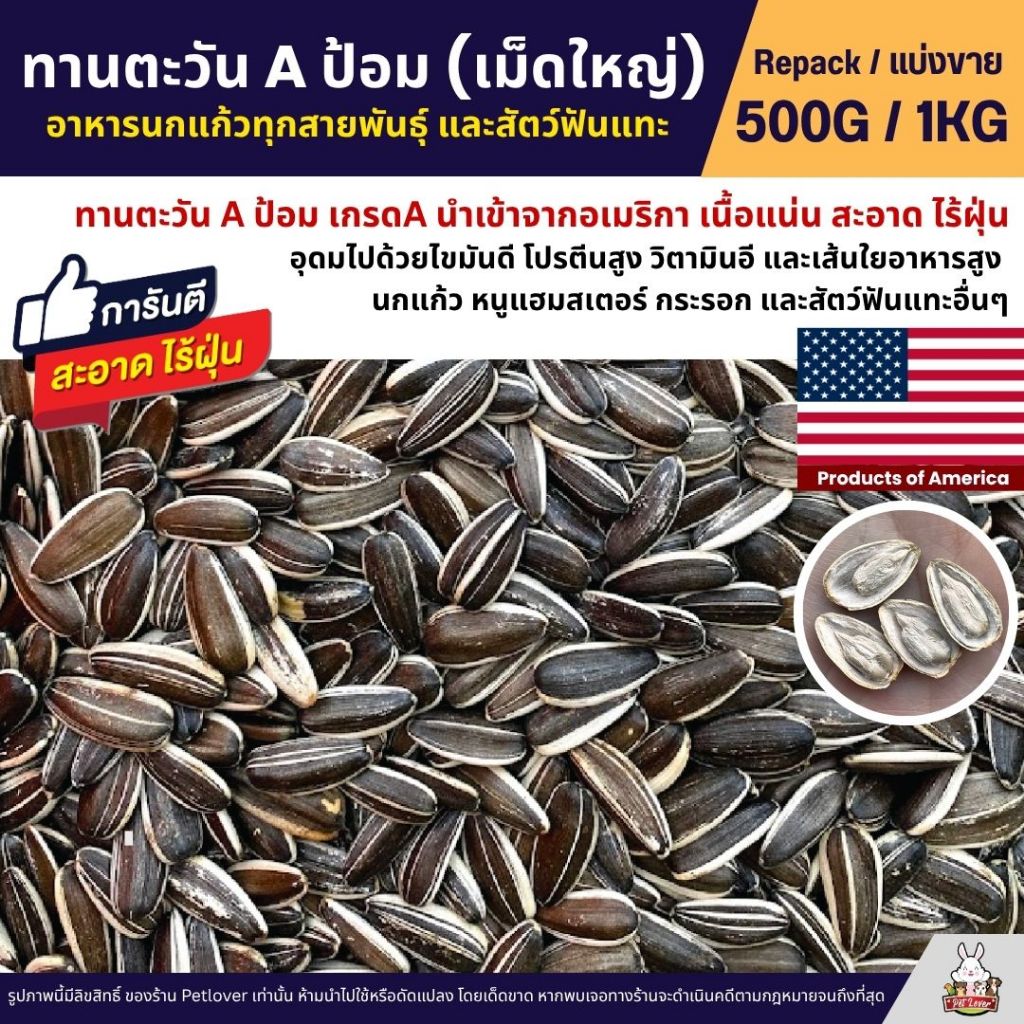 ทานตะวัน Aป้อม เม็ดใหญ่ เกรดA อาหารนกแก้ว และสัตว์ฟันแทะ สะอาด ร่อนฝุ่น (แบ่งขาย 500G / 1KG)
