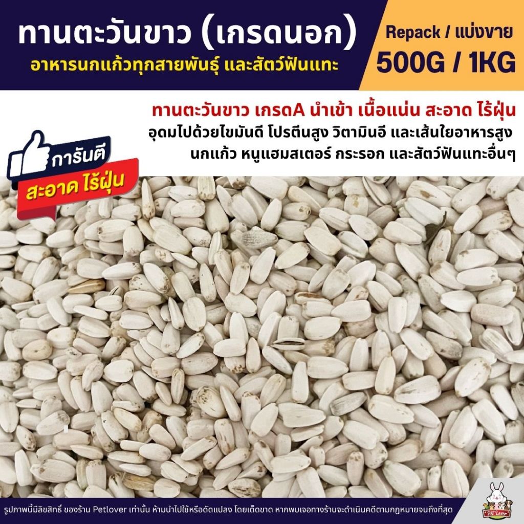 ทานตะวันขาว เกรดA เมล็ดสวย สำหรับนกแก้วทุกสายพันธุ์ หนูแฮมเตอร์ กระรอก (แบ่งขาย 500G / 1KG)