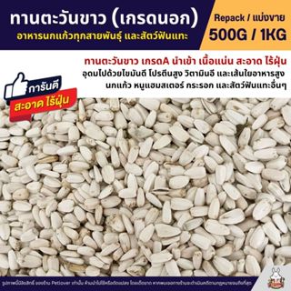ทานตะวันขาว เกรดA เมล็ดสวย สำหรับนกแก้วทุกสายพันธุ์ หนูแฮมเต…