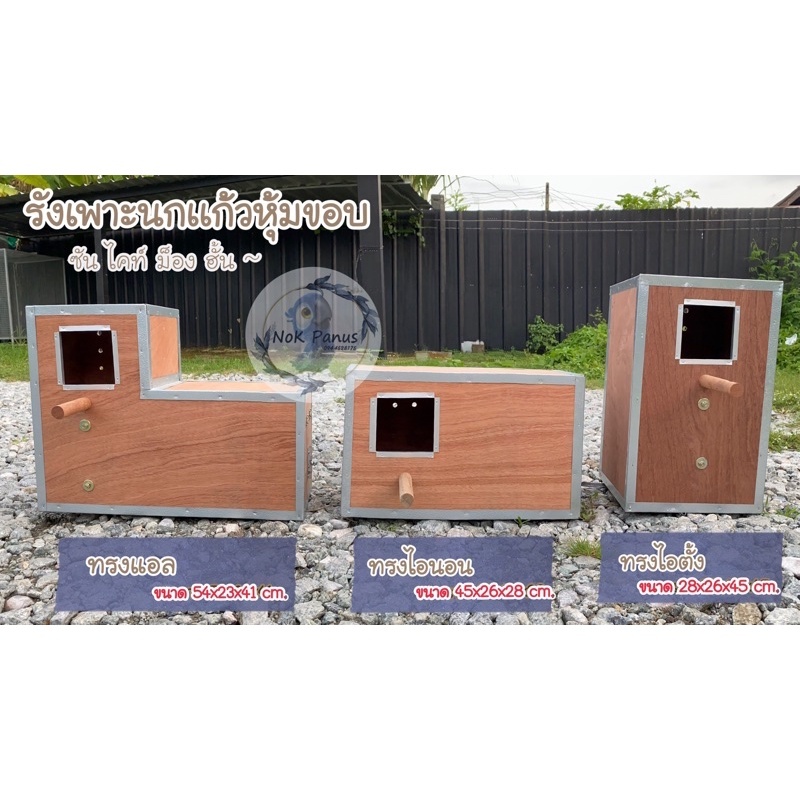 รังเพาะนกเเก้วซันคอนัวร์ กล่องนอน บ้านนก ซัน กรีนชีค ริงเนต ม็องค์ ไคท์