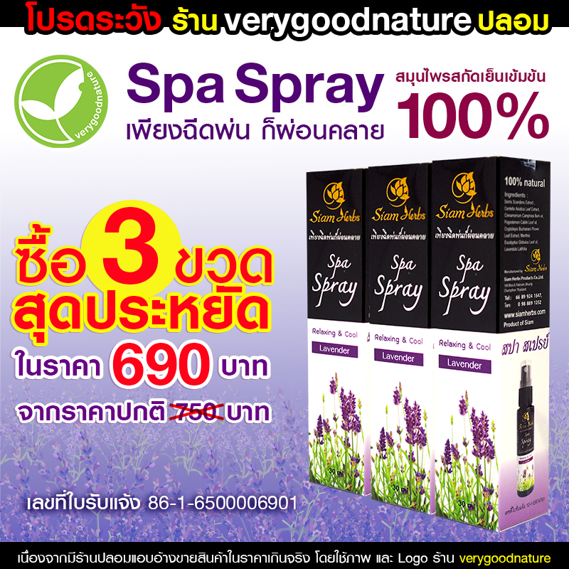 Spa Spray สปา สเปรย์ สมุนไพรสกัดเย็น บรรเทาอาการปวดเมื่อย ปวดศีรษะ ปวดไมเกรน ผ่อนคลายกล้ามเนื้อ (3 ขวด)