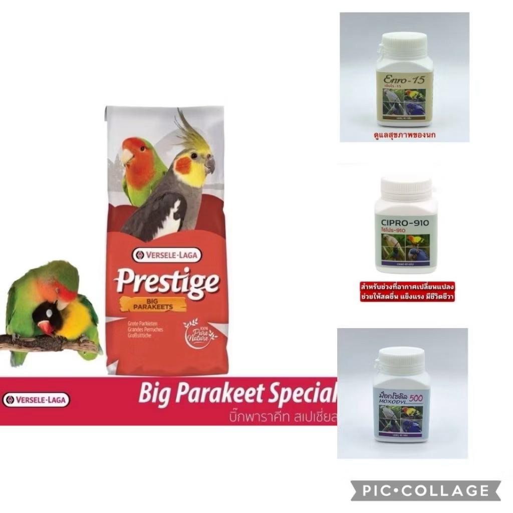 (พร้อมส่ง) ธัญพืช ฟอพัส _ ม็อกโซดิล500 (ขนาด 40 กรัม)