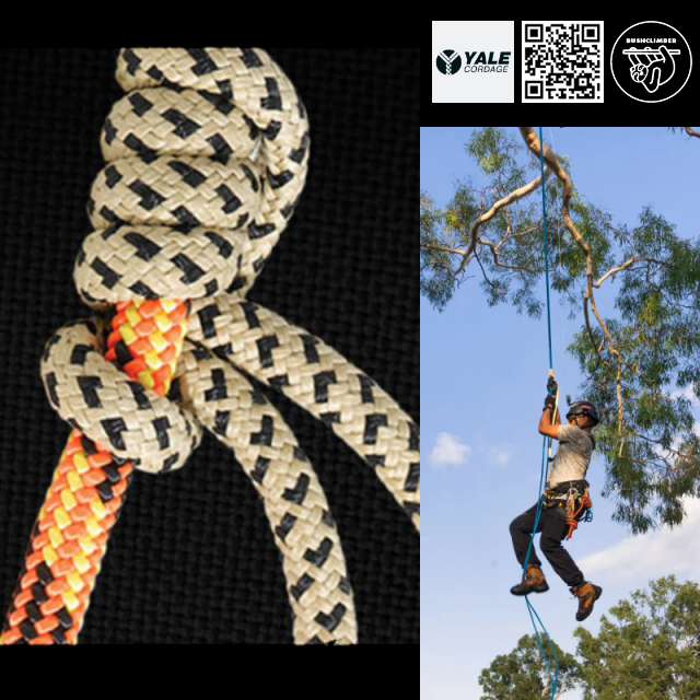 บีไลน์ เชือกพูสิกปีนต้นไม้ 8mm ทนความร้อน Yale Cordage Bee Line Prussic