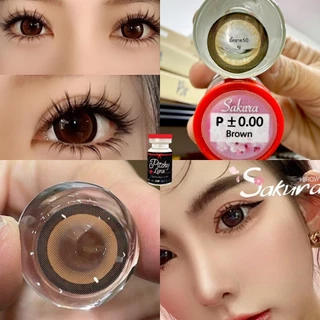 บิ๊กอาย Sakura Wink Roze Kissy Pitchy คอนแทคเลนส์ ถนอมดวงตา แบบรายเดือน "สินค้าถ่ายจากเลนส์จริง"