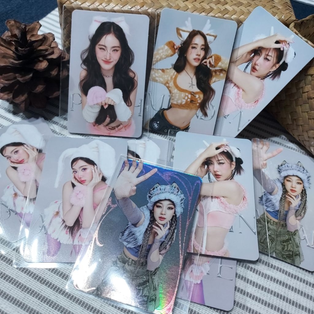 Card Sunsu × 4EVE [พร้อมส่ง]